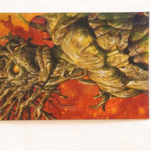 Shoot1 Comics Cards And Lego0206